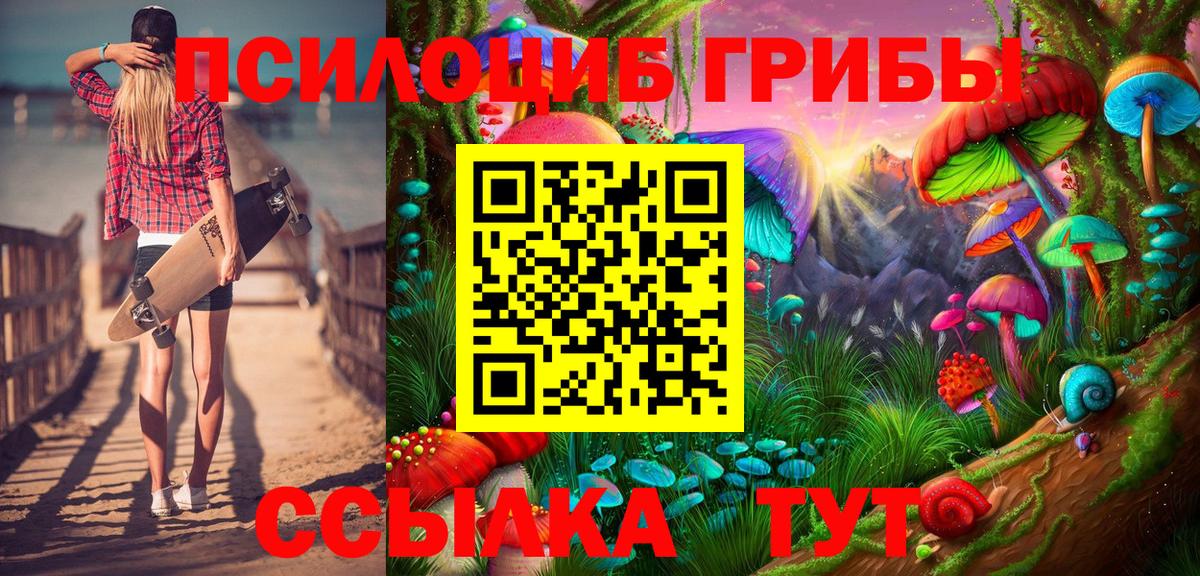 Галлюциногенные грибы Cubensis  Вход с VPN  Гурьевск  Псилоцибиновые грибы прущие грибы 