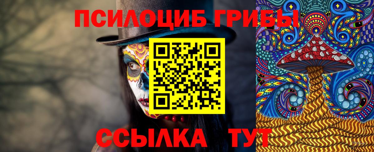 Галлюциногенные грибы мухоморы Гурьевск
